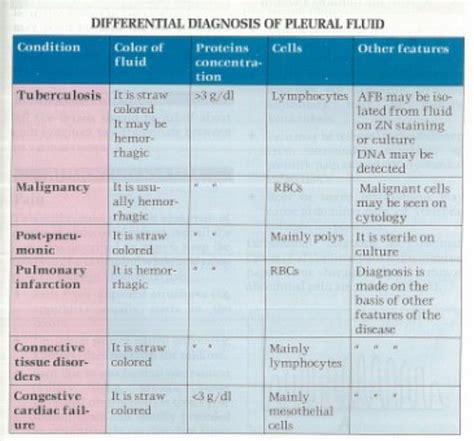 Differential Diagnosis Of Pleural Effusion Medizzy