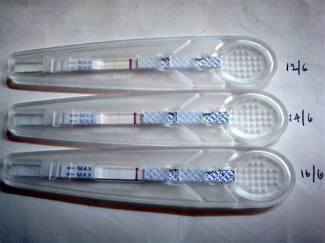 Ovulation Lh And Pregnancy Hcg Test Malaysia Review Guardian Pharmacy Pregnancy Test