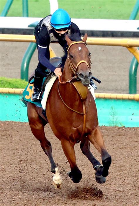 【函館2歳s】サトノカルナバルが世代最初の重賞v 佐々木大輔騎手も初タイトル「もっともっと重賞を勝てるように」 写真2 Umatoku