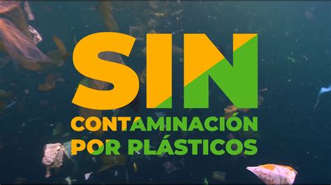 Dia Mundial Del Medio Ambiente Sincontaminaci N Por Pl Sticos