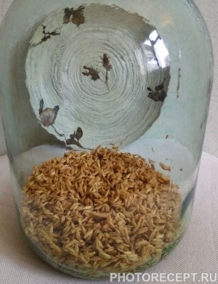 Овсяный квас - рецепт приготовления