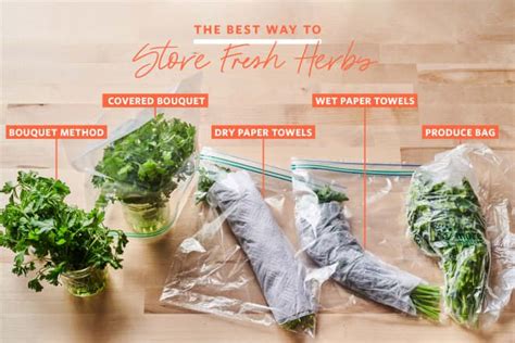 We Tried Methods For Storing Fresh Herbs And Found A Clear Winner