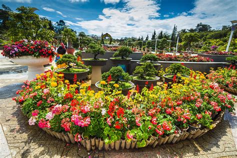 Da Lat Flower Gardens