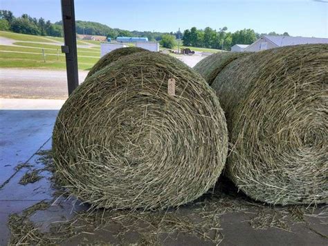 2 Round Bales 1st Alfalfa Orchard Grass 4x5 2023 Rogers Community