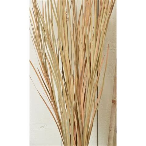 Dried Ornamental Wild Grass Natural Wild Grass