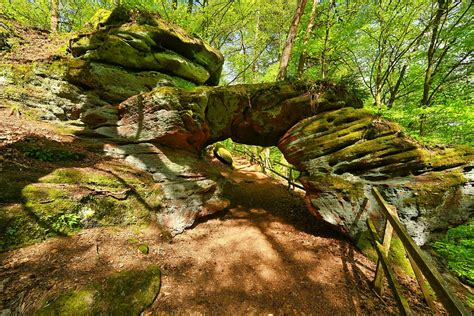 Palatinate Forest Sandstone Rock Free Photo On Pixabay Pixabay