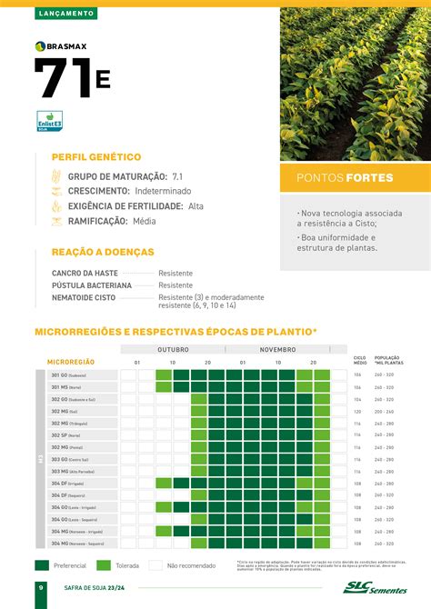 BRASMAX 71E SLC Sementes