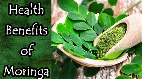 Health Benefits Of Moringa YouTube