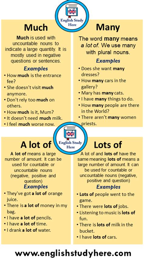 22 Example Sentences with Much, Many, A lot of, Lots of Lots of A lot ...