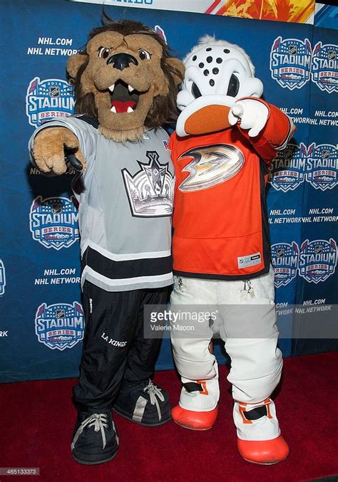 Bailey mascot of the Los Angeles Kings and the mascot of the Anaheim ...