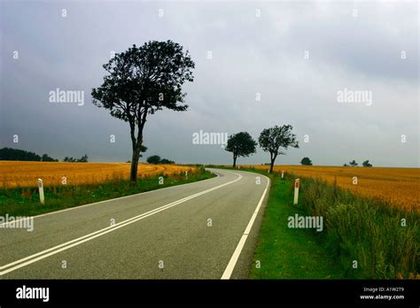 rural road  denmark stock photo alamy