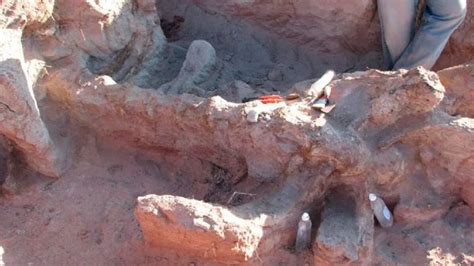 Descubren Restos F Siles De Un Nuevo Dinosaurio En Neuqu N Que Vivi