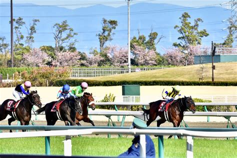 Jra「単勝1倍台の馬の複勝よりも自信があります」霜降り明星・粗品のお気に入りホースが仕切り直しの一戦！「買い材料」満載でレアキャラまでも再