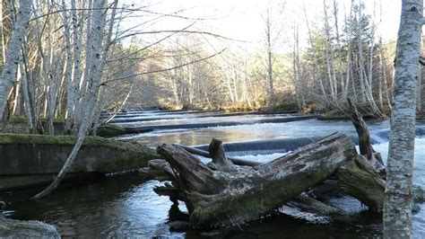 Hilburn Preserve — Washington Trails Association