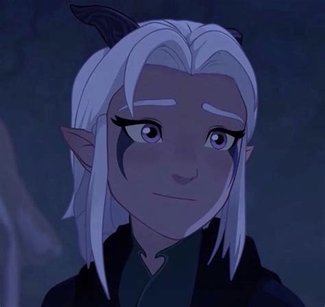 Rayla From The Dragon Prince Rayla Dragon Prince Dragon Princess