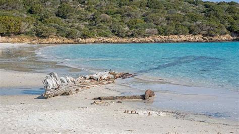 Spiagge libere le migliori in Italia le trovi in queste località