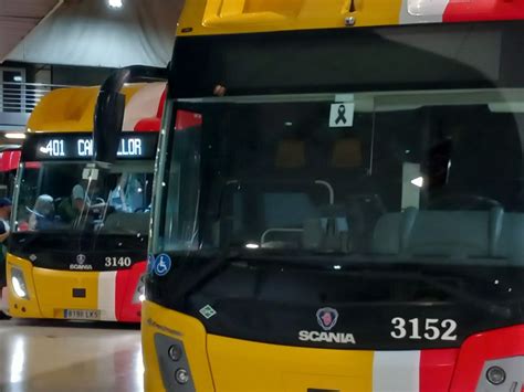 Los Buses Del TIB De Mallorca Circulan Con Un Lazo Negro Por La Muerte