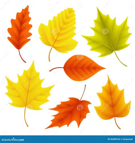 Autumn Leaves Vector Set for Fall Seasonal Elements with Maple and Oak ...