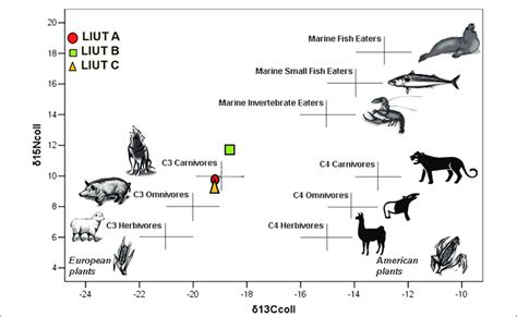 Paleodiet by stable isotope analysis (carbon and nitrogen isotopes in ...