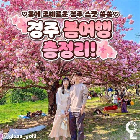 봄에 가기 좋은🌸 경주여행총정리 🌸 네이버 블로그