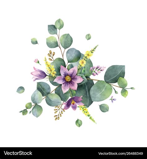 Watercolor Bouquet With Green Eucalyptus Vector Image