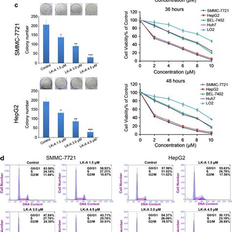 LK A Inhibits Cells Proliferation And Induces G2 M Arrest In SMMC 7721