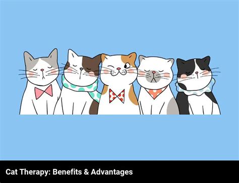 The Benefits Of Cat Therapy - AtractivoPets