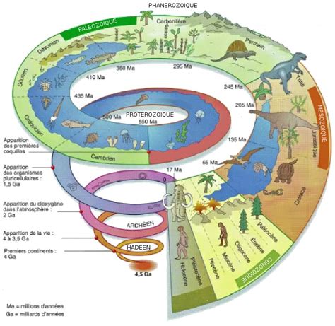 echelles des temps géologiques 3ème SVT