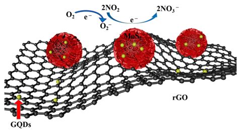 Schematic Illustration Of The Gas Sensing Mechanism For Mos Rgo Gqds