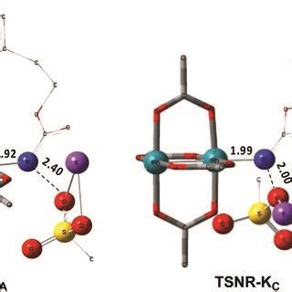 Optimized Structures Of The Tsnr Of A And C Sulfur Atom Yellow