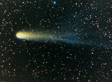 Halleys Comet Astronomy Facts History Britannica