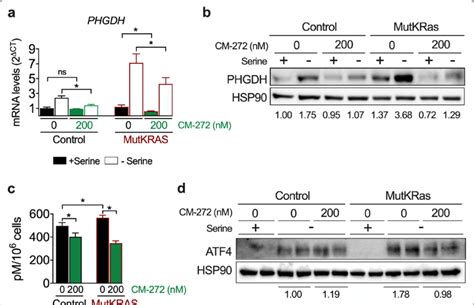 G9a Inhibition Blunts The Adaptive Upregulation Of Phgdh Expression To