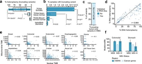 Analysis Of Mutation Burden In Normal Tissues And Of Tumor Mtdna Download Scientific Diagram