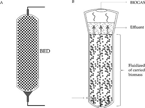 Fluidized Bed Reactor