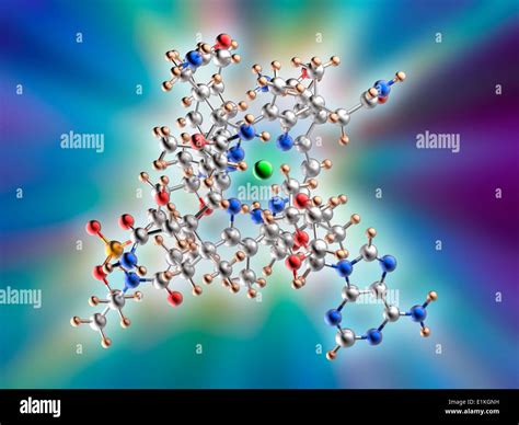 Vitamin B12 Molecular Model Vitamin B12 Cobalamin Is An Essential Nutrient That Humans Are