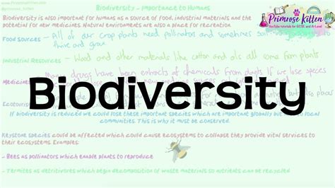 Biodiversity Revision For Biology GCSE And IGCSE YouTube