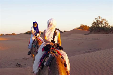 Camel Trekking Sahara Camp Adounia