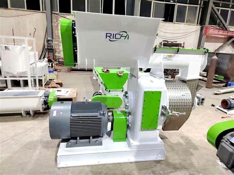 Richi Mzlh Wood Chip Pellet Machine For Sale