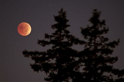 Imagini Spectaculoase Cu Eclipsa Total De Lun Galerie Foto