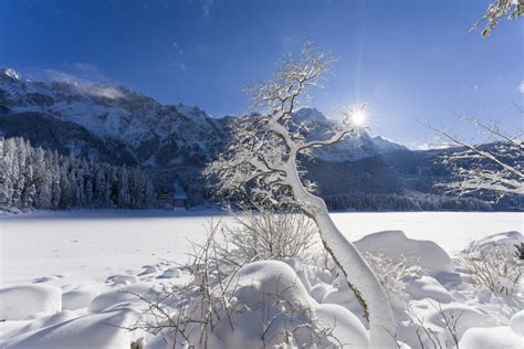 Natur Highlight An Der Zugspitze Der Eibsee