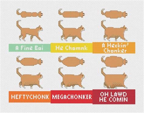 Cat Size Chart Chonk