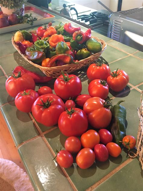 The Tomato Season Has Finally Started Here Tomato Season Tomato Seasons