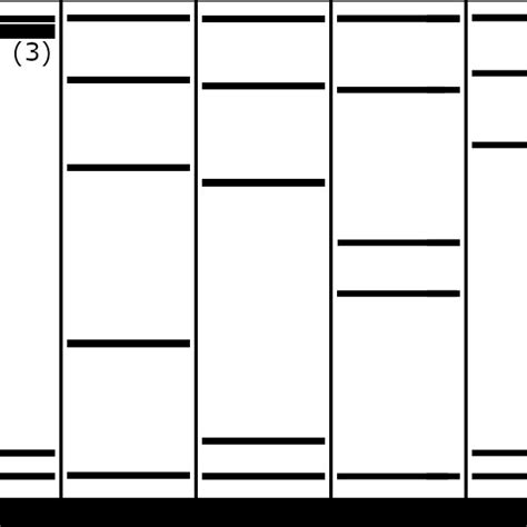 Binding Energies For Each Of The Sites Shown Spatially In A Unit Cell