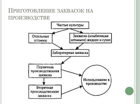 Закваски для получения жидких молочнокислых продуктов - online presentation