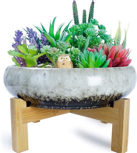 Amazon Succulent Planters Ceramic Succulent Pots With Drainage