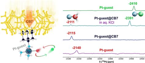 大环对铂 Ii 配合物的超分子加冕：结构、相对论 Dft 计算和生物效应inorganic Chemistry X Mol