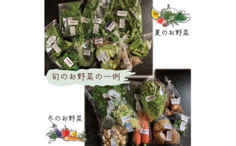 野菜 特別栽培 セット 詰め合わせ 栽培期間中農薬不使用 7～10種類 Tagatame タガタメ 旬の採れたてお野菜詰め合わせセット【 野菜