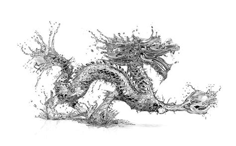 Water Dragon Drawing by Paul Stowe - Pixels