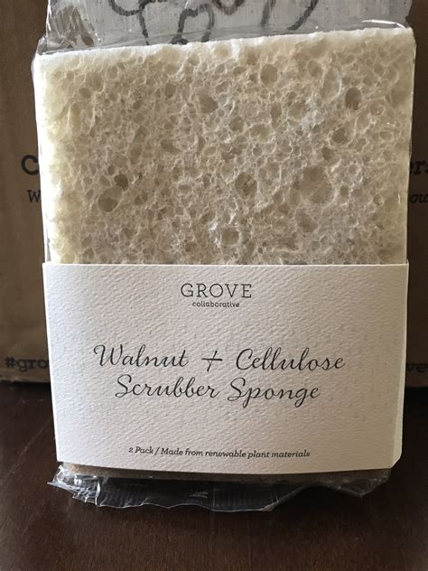 Grove Collaborative Walnut Scrubber Sponge - Really Into This