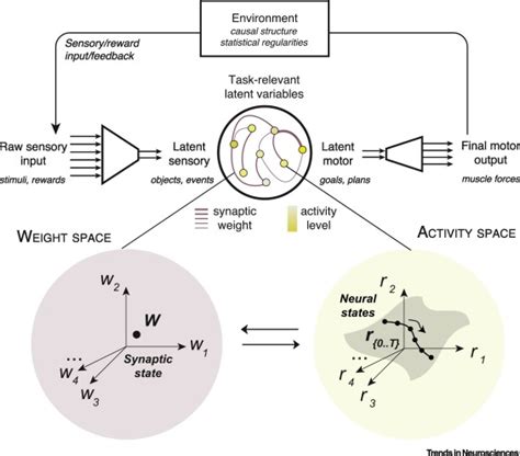 A Network Perspective On Sensorimotor Learning Trends In Neurosciences